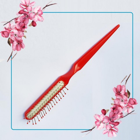 Brosses avec des picots